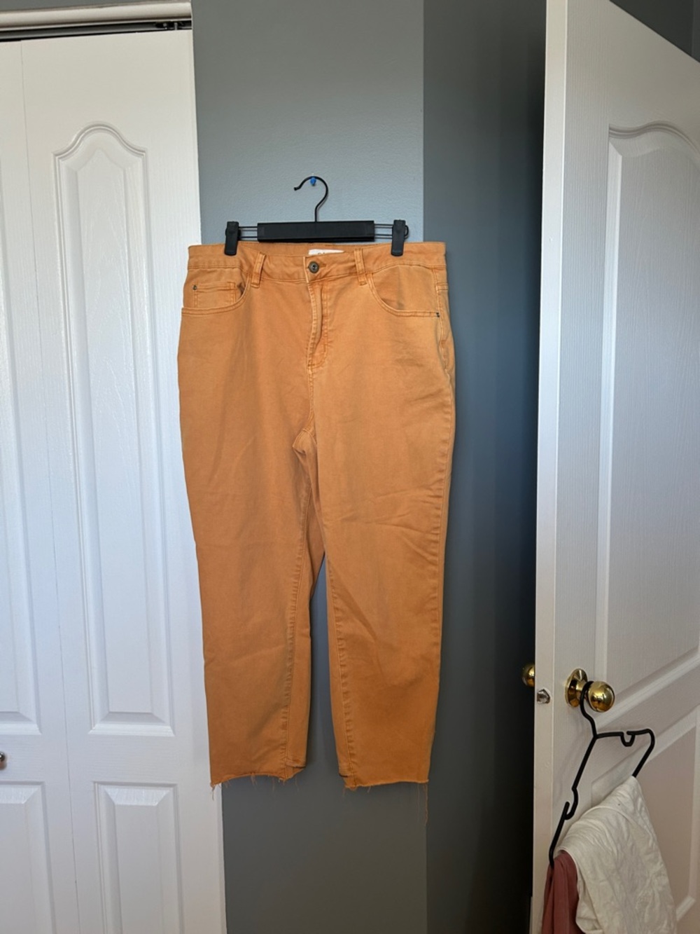 CHARLIE B Men's Orange Straight-Leg Jeans